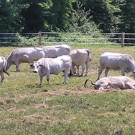 Feriegård La Fornace Centro Ippico *